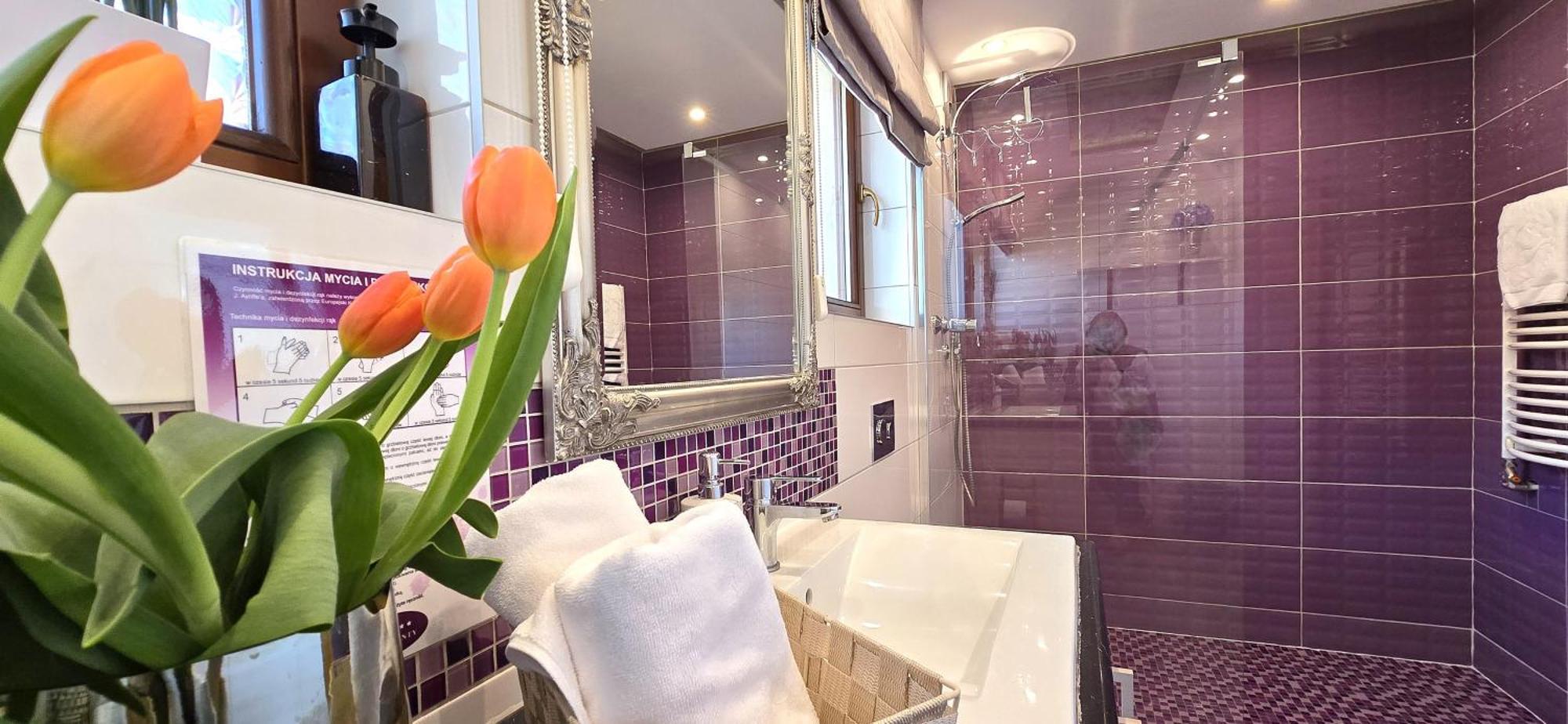Vip Apartamenty Widokowe Ζακοπάνε Εξωτερικό φωτογραφία